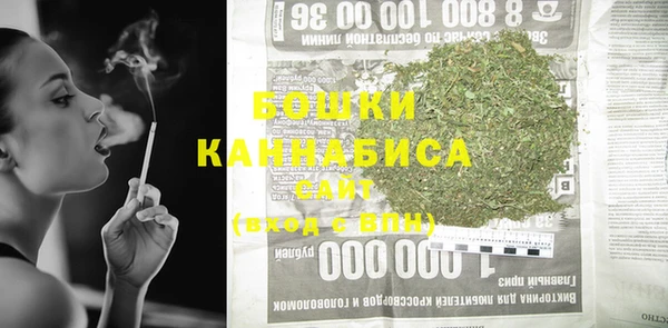 сатива Коряжма