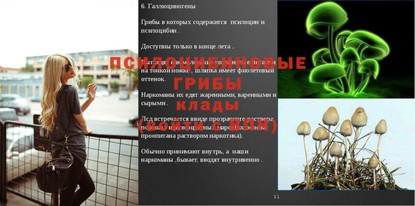 эйфоретик Верея